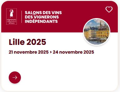 SVVI Lille 2025